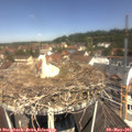 11_40-nest.jpg