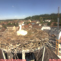 11_45-nest.jpg