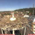 11_55-nest.jpg