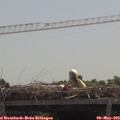 12_05-mast.jpg