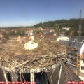 12_05-nest.jpg