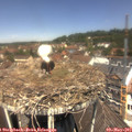 12_15-nest.jpg