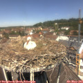 12_20-nest.jpg