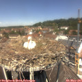 12_30-nest.jpg