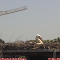 12_35-mast.jpg