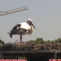 12_40-mast.jpg
