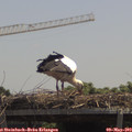 12_45-mast.jpg
