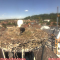 12_45-nest.jpg