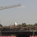 12_50-mast.jpg