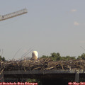 12_55-mast.jpg