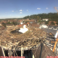 12_55-nest.jpg
