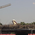 13_00-mast.jpg