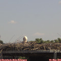 13_05-mast.jpg