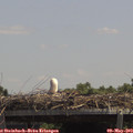 13_10-mast.jpg