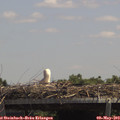 13_20-mast.jpg
