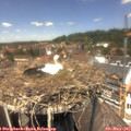 13_20-nest.jpg