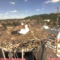 13_25-nest.jpg