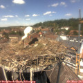13_30-nest.jpg