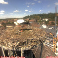 13_35-nest.jpg