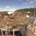 13_40-nest.jpg