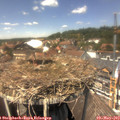 13_45-nest.jpg