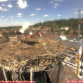 13_50-nest.jpg