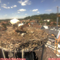 14_10-nest.jpg