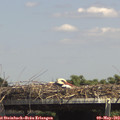 14_20-mast.jpg