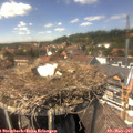 14_20-nest.jpg
