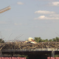 14_25-mast.jpg