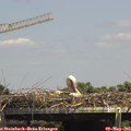 14_30-mast.jpg