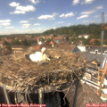 14_30-nest.jpg