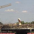 14_35-mast.jpg