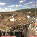 14_35-nest.jpg