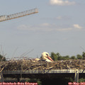 14_40-mast.jpg