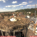 14_40-nest.jpg