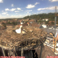 14_45-nest.jpg