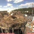 14_55-nest.jpg
