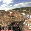 15_00-nest.jpg