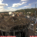 15_35-nest.jpg
