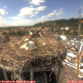 15_40-nest.jpg