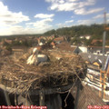 15_55-nest.jpg