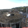 16_35-nest.jpg