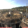 18_10-nest.jpg
