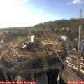 18_20-nest.jpg