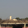18_25-mast.jpg