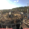 18_30-nest.jpg