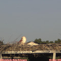 18_35-mast.jpg