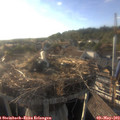 18_35-nest.jpg