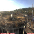 18_40-nest.jpg